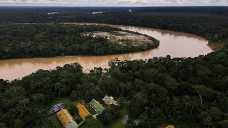 Amazonia en Perú. Foto: REUTERS.