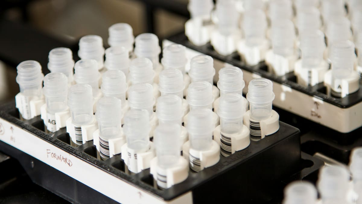 Ciencia, salud, investigación. Foto: Unsplash