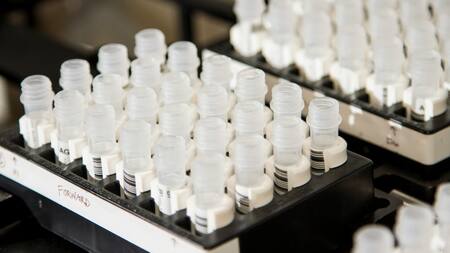 Ciencia, salud, investigación. Foto: Unsplash