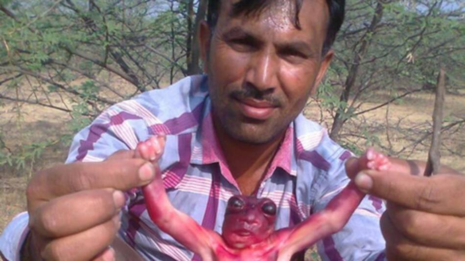 Bebé alienígena en la India