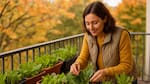 Qué verduras plantar en un balcón en otoño: guía fácil para cosechar fresco en casa