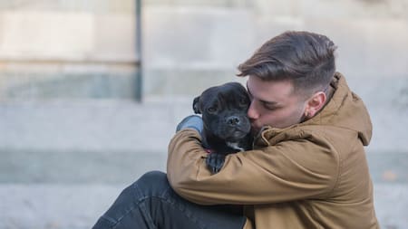 No es recomendable abrazar a los perros. Foto: Unsplash.