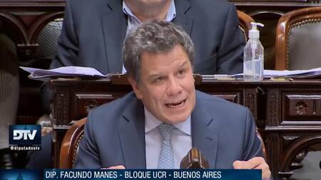 Facundo Manes, sesión Diputados. Foto: captura video.