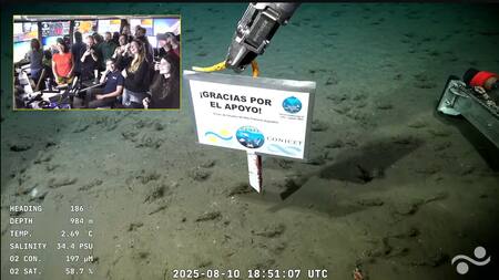 Último stream del CONICET