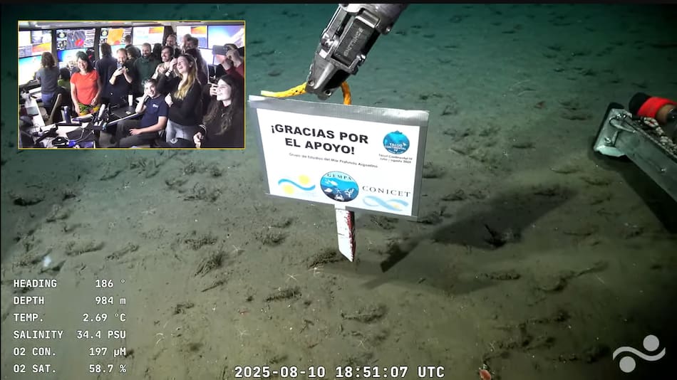 Último stream del CONICET