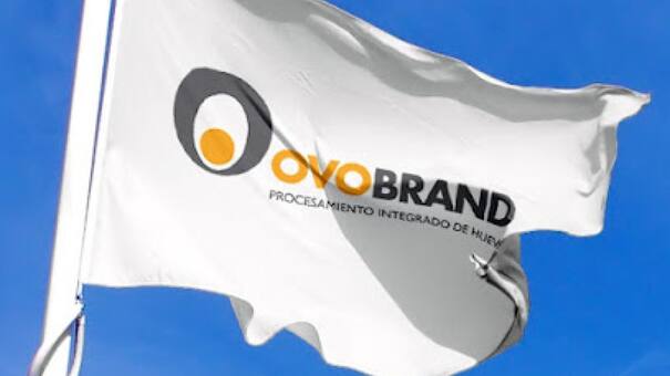 Innovador proceso: una empresa avícola produce energía eléctrica gracias al guano de las gallinas ponedoras