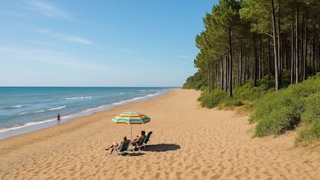 Bosque, mar y relax total: el destino playero a 4 horas de Buenos Aires ideal para desconectar en los feriados de marzo
