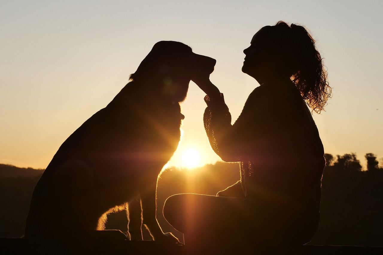 Milán autoriza que las cenizas de las mascotas sean enterradas junto a sus dueños. Foto: Pexels.