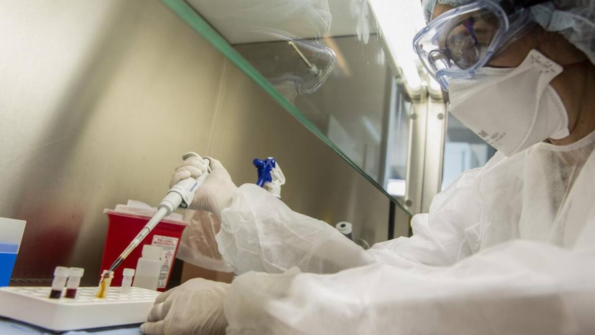 Laboratorio, científicos, investigación, NA