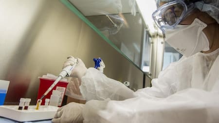 Laboratorio, científicos, investigación, NA