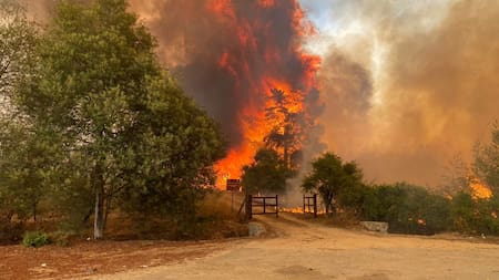 Incendios en Chile. Video: Reuters.