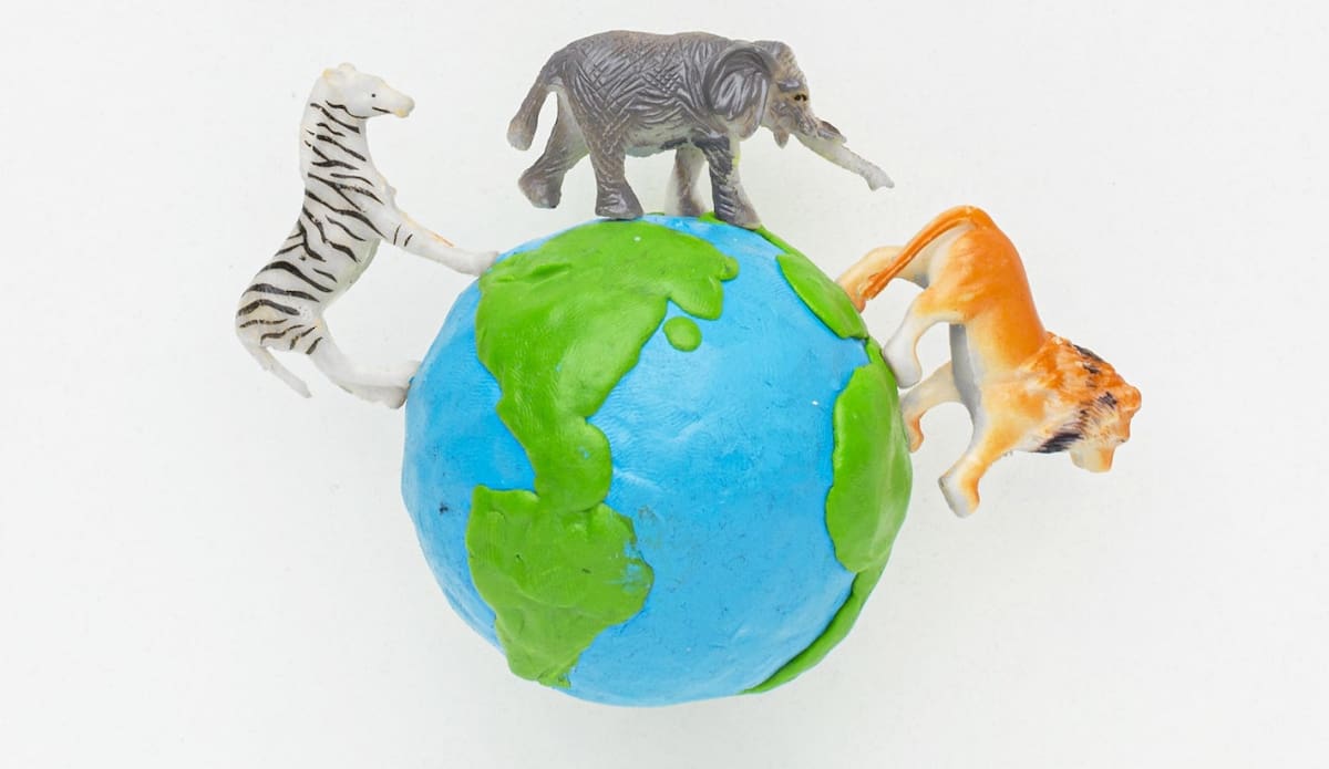 Mundo animal. Foto: Freepik