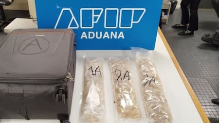 Operativo policial de Aduana en Ezeiza. Foto: prensa