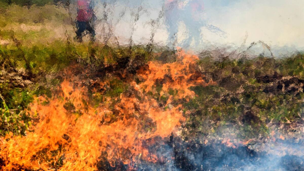 Las llamas en el Pantanal brasileño. Foto: EFE