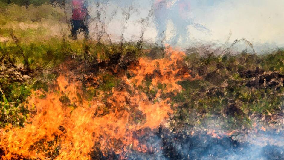 Las llamas en el Pantanal brasileño. Foto: EFE