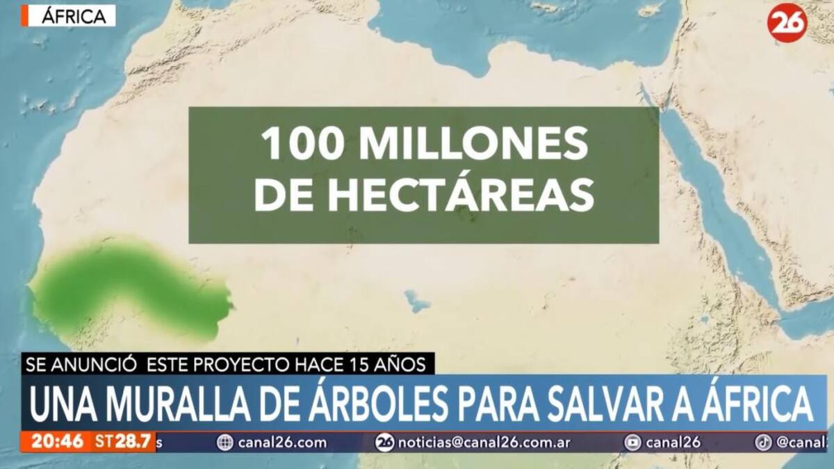 Gran Muralla Verde en África - Canal 26