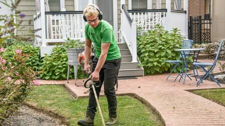 Pasto, césped. Foto: Unsplash.