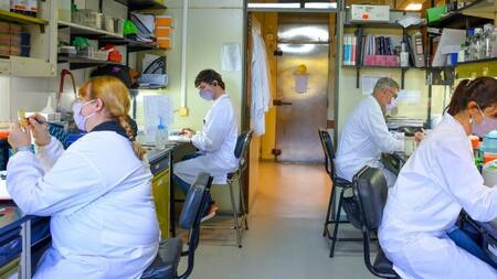 Trabajo sobre la vacuna argentina contra el coronavirus, Foto Instituto Leloir
