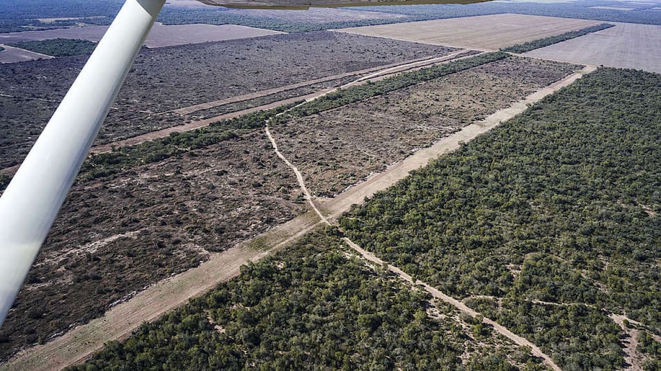Deforestación y desmonte en Chaco. Foto: Greenpeace.