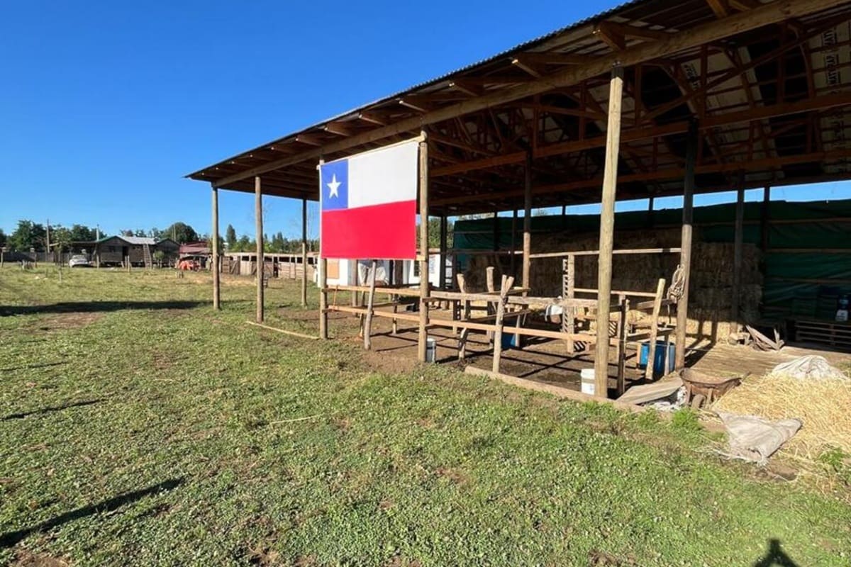 Los anfitriones buscan personas que disfruten del contacto con la naturaleza y tengan afinidad con los animales. La iniciativa combina bienestar animal y desarrollo rural.