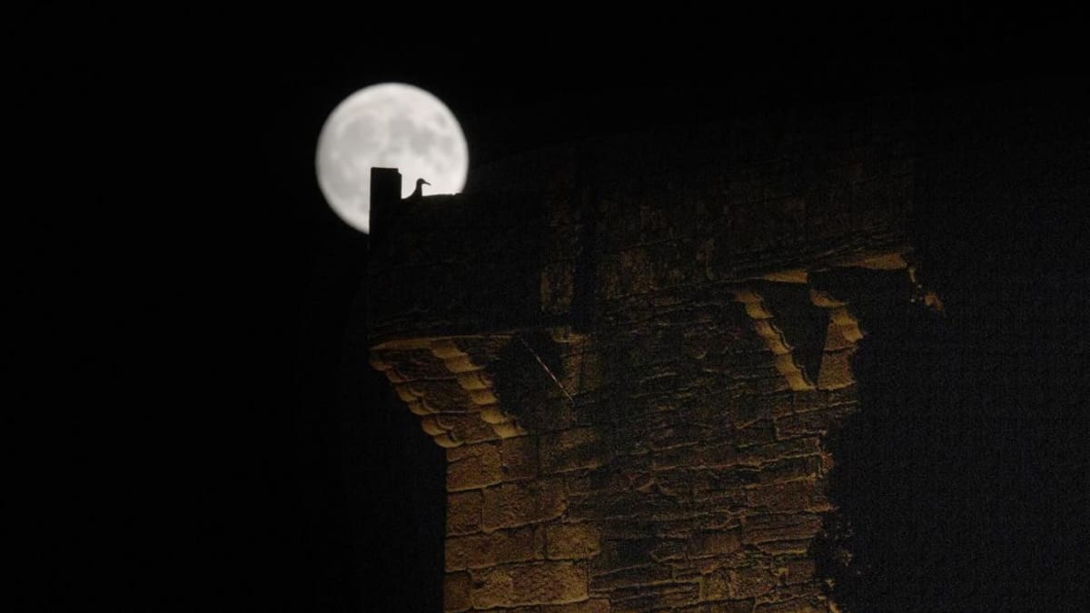El cielo se viste de gala: dos superlunas consecutivas iluminarán las noches de fin de año. Foto: EFE.