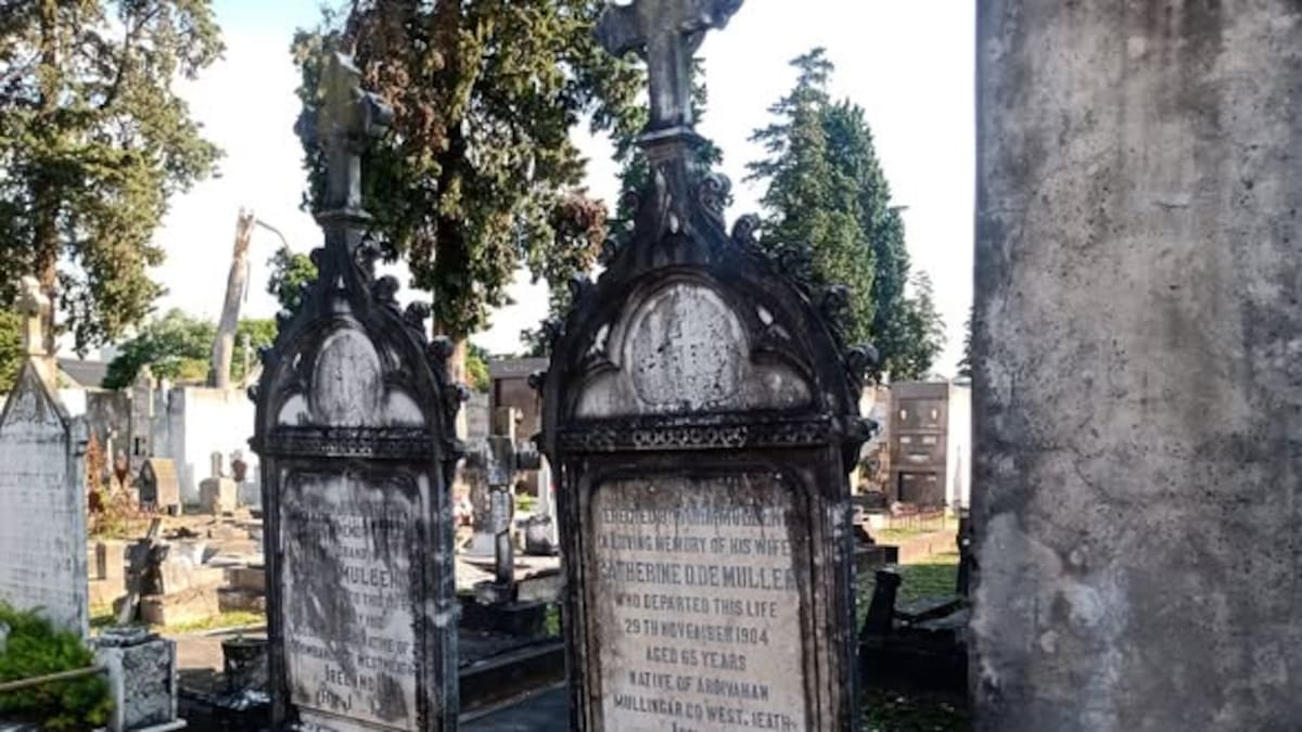 Cuatro cementerios en un día: el inquietante viaje entre tumbas, epidemias y secretos históricos