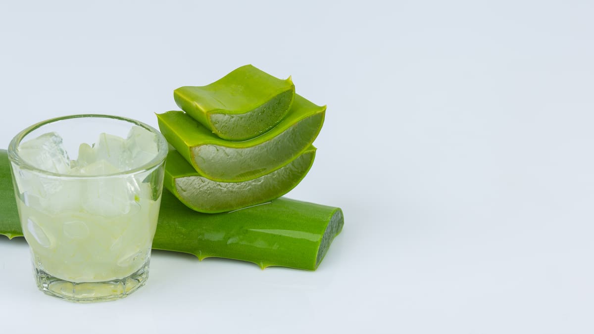 Cuáles son los beneficios más reconocidos del aloe vera.