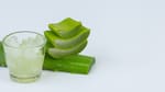 El aloe vera, un gran aliado para la salud: cómo consumirlo y cuáles son sus beneficios