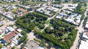 Escapada en familia: dónde queda la localidad que tiene el mejor queso Gouda y lo homenajea con una gran fiesta tradicional