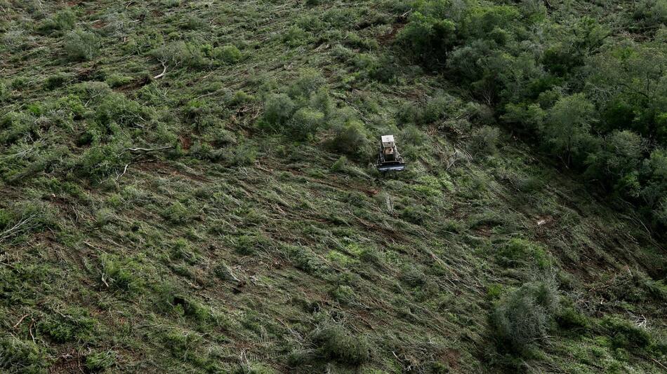 Deforestación en Chaco. Foto: Reuters