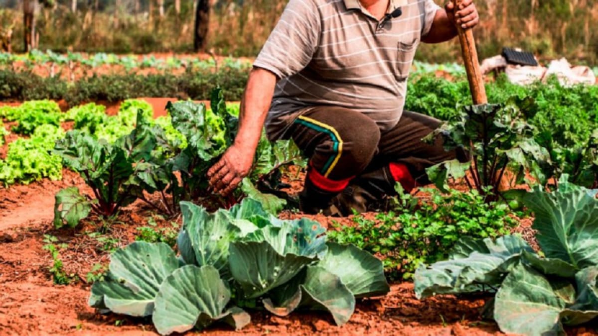 Slow Food está presente en más de 160 ciudades de todo el mundo con más de un millón de activistas. Foto: NA.