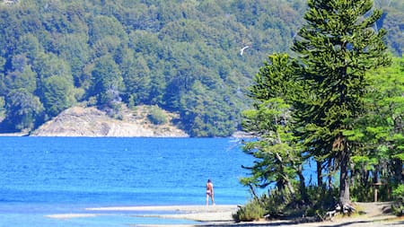 El refugio escondido de la Patagonia con agua cristalina y paisajes de ensueño ideal para el descanso de los jubilados