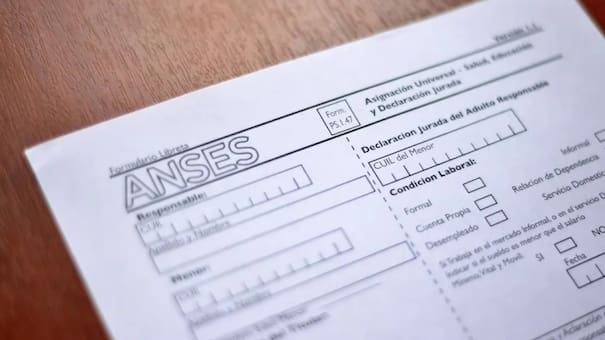 Libreta AUH de ANSES: cómo calcular el monto a cobrar según los meses acreditados y la zona geográfica