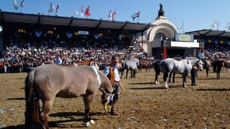 La Rural, exposición, NA