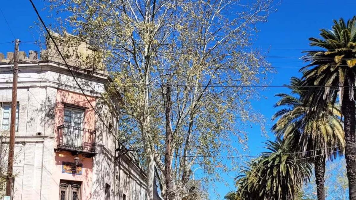 Ernestina, Buenos Aires.