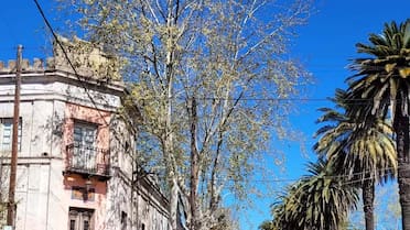 Buenos Aires de gala: el inhóspito pueblo que asfaltó su calle principal para recibir a un rey inglés