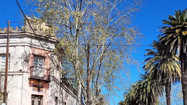 Buenos Aires de gala: el inhóspito pueblo que asfaltó su calle principal para recibir a un rey inglés
