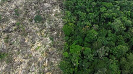 Deforestación cerca de Uruara, estado de Pará, en la Amazonía brasileña. Reuters