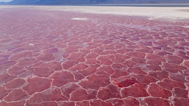Convierte a los animales en piedra: dónde se encuentra este misterioso lago que puede alcanzar los 60º