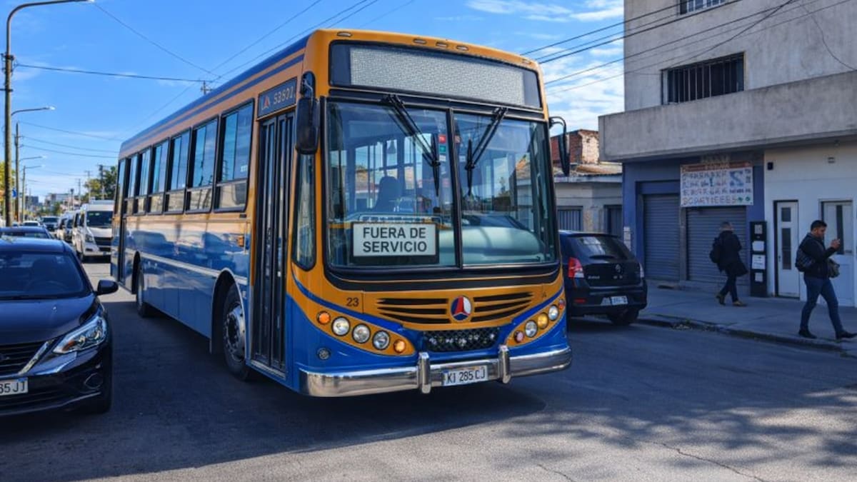 Línea 172
