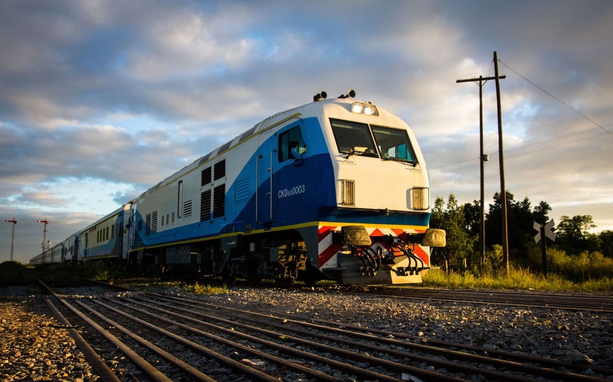 Tren a Mar del Plata. Foto: NA (Martín Marinucci)