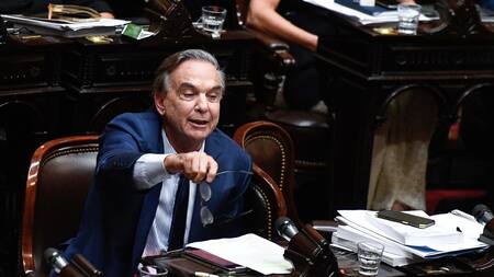 Miguel Ángel Pichetto. Foto: Télam