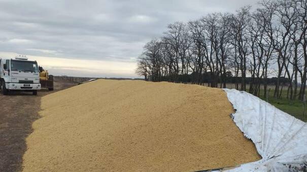 Silobolsas: crearon una comisión que estudiará los delitos que sufren los productores rurales