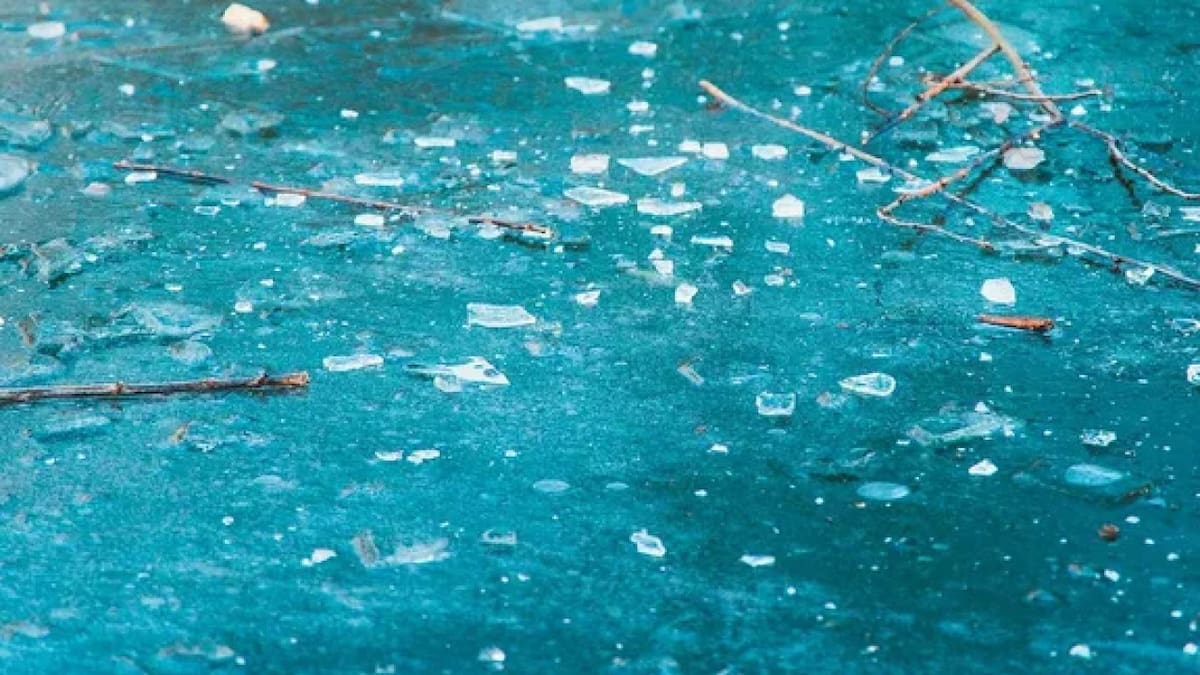 Frío polar en la provincia de Buenos Aires. Foto: NA.