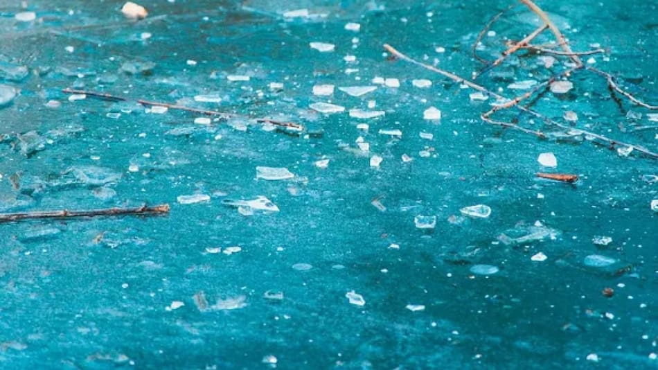 Frío polar en la provincia de Buenos Aires. Foto: NA.