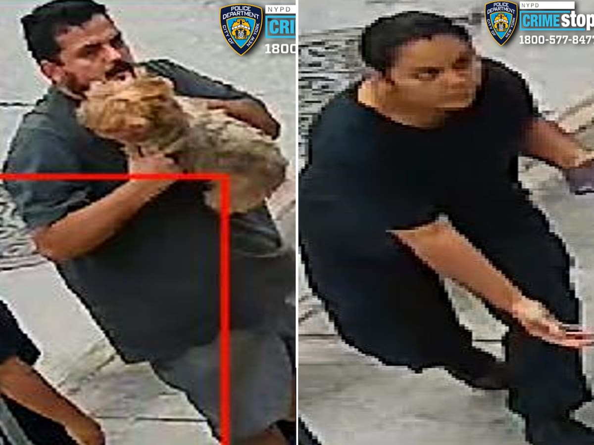 El robo de la mascota se produjo en Nueva York.
