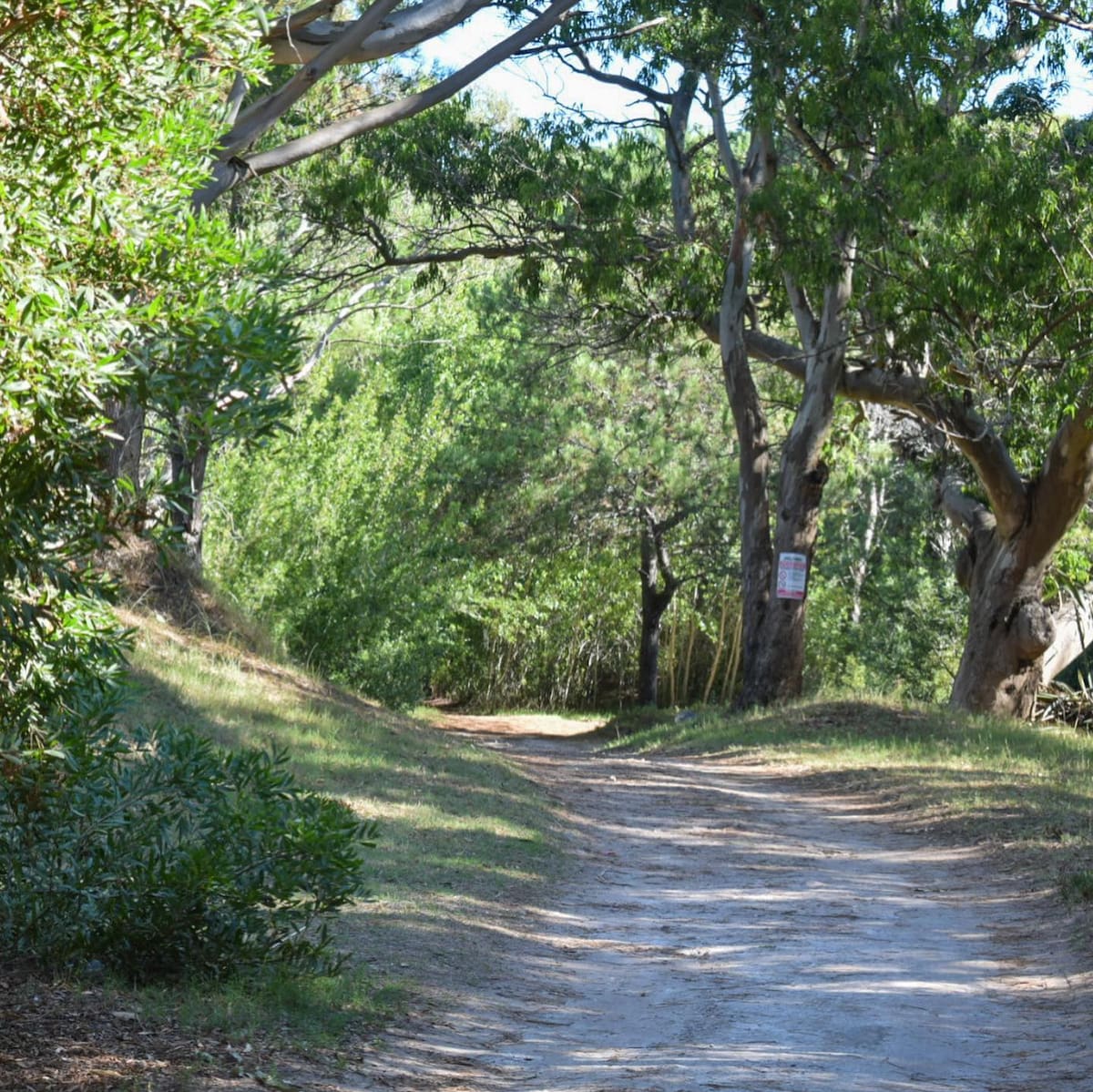 Aguas Verdes