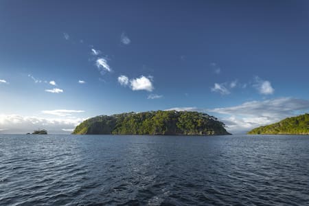 Chile crea el Parque Nacional Cabo Froward. Foto: EFE