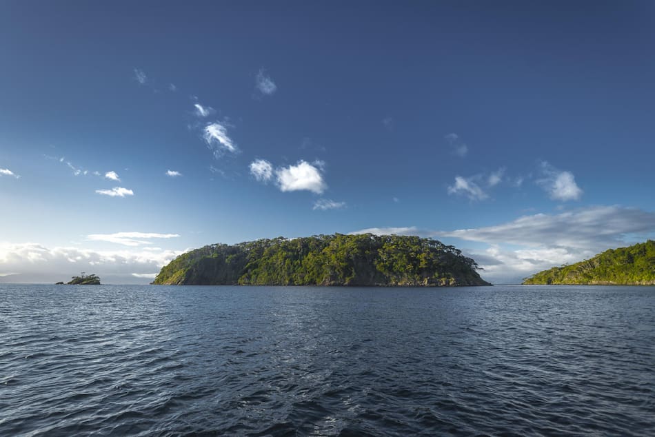 Chile crea el Parque Nacional Cabo Froward. Foto: EFE