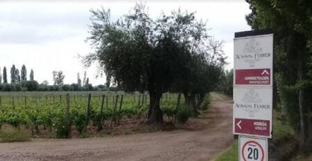 Golpe comando en una bodega de Mendoza. Foto: NA
